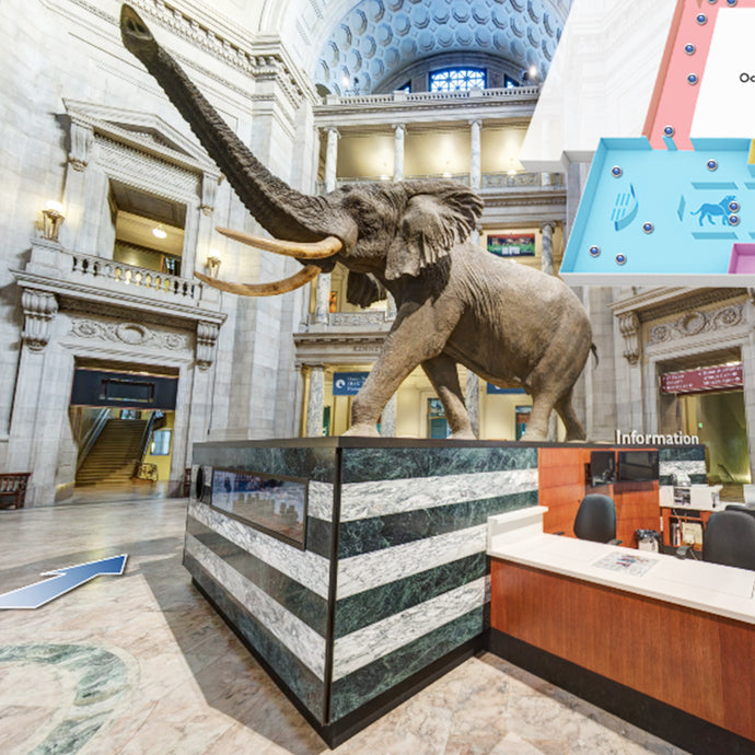 PARENT TIP: Virtual Tours at The Smithsonian National Museum of Natural History!