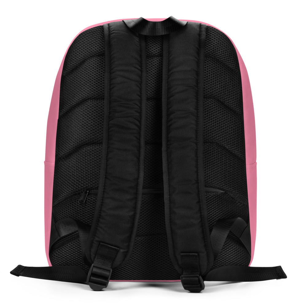 This pink bunny backpack is a great school backpack for your little girl! It has a spacious inside compartment (with a pocket for her laptop), and a hidden back pocket for safekeeping your most valuable items.